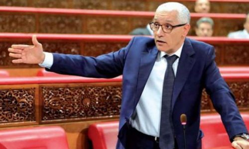 مجلس النواب يعترف بصعوبة ترجمة الأمازيغية