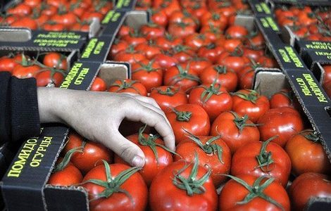 بايتاس وأسعار الطماطم!!