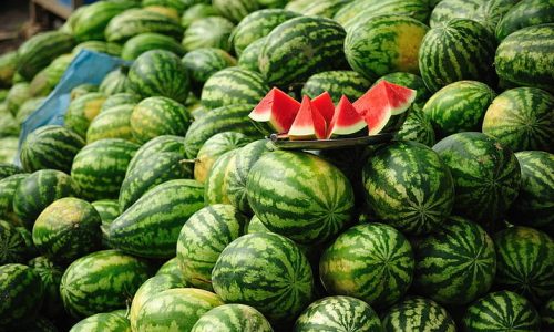وزارة الفلاحة تنفي إشاعات الرائجة حول البطيخ الأحمر